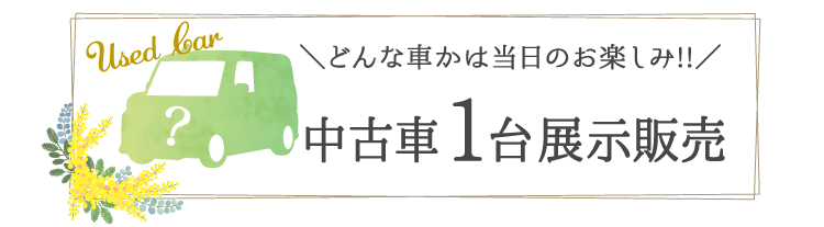 どんな車かはお楽しみ!! 中古車1台展示販売