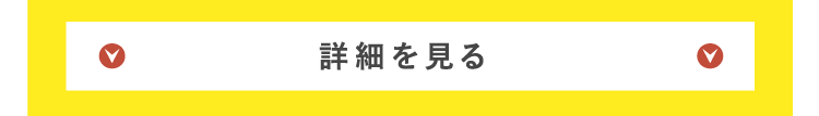 詳細を見る