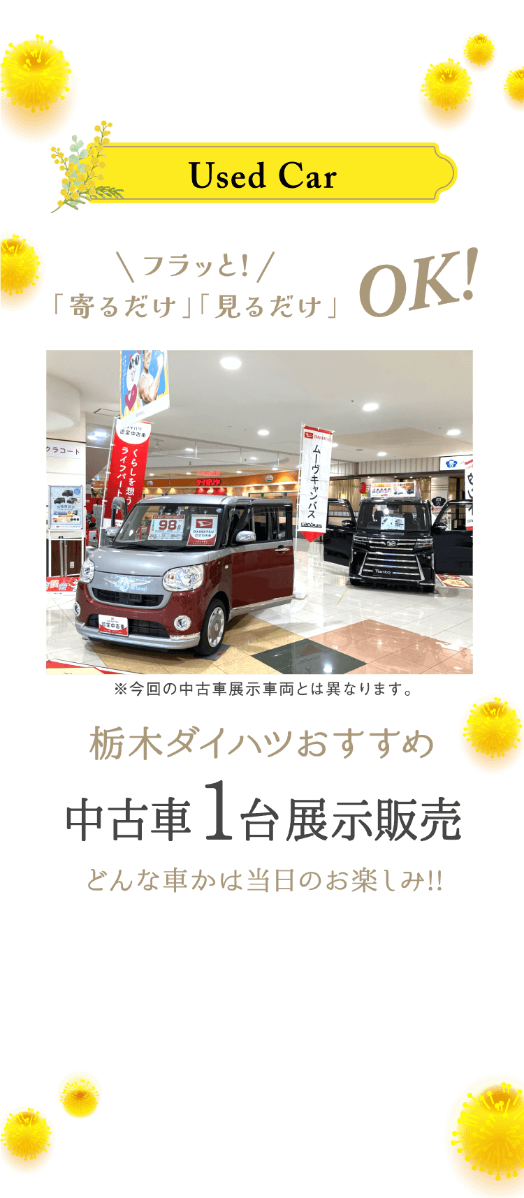 栃木ダイハツおすすめ中古車を1台展示販売